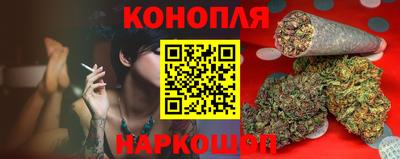 гашик Малгобек