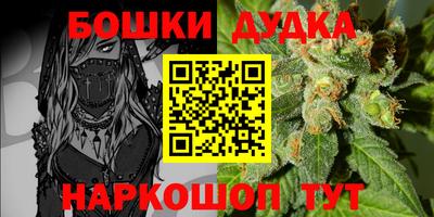 гашик Малгобек