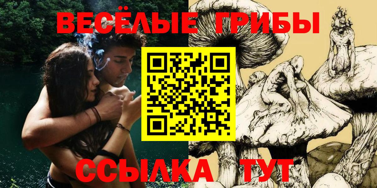 где найти наркотики  Вход с VPN  Гуково  Псилоцибиновые грибы Psilocybe 