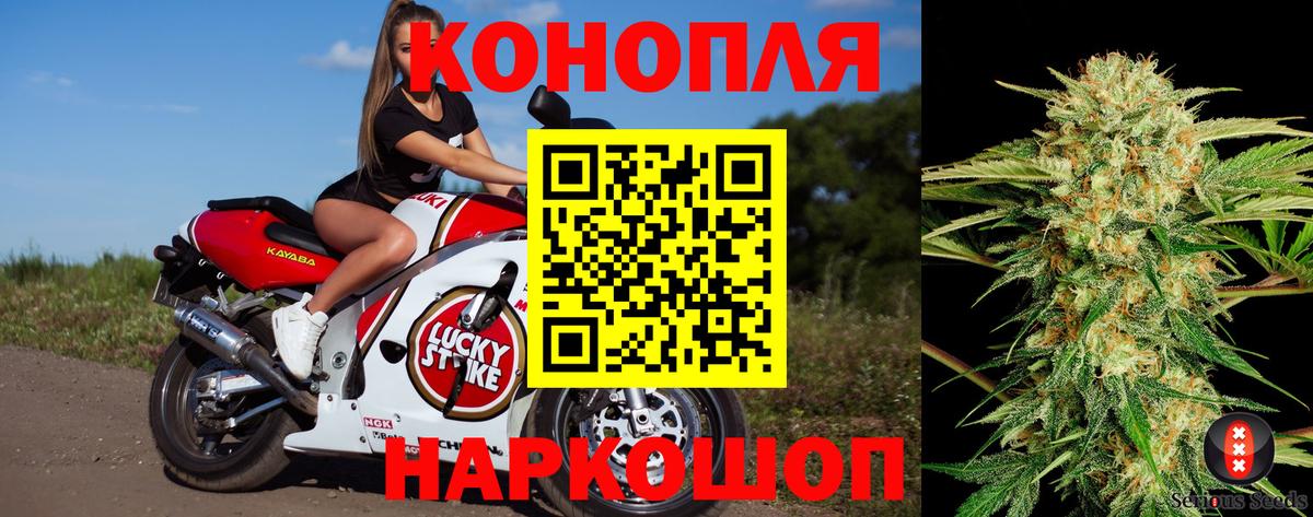 Конопля Bruce Banner  МАРИХУАНА OG Kush  Вход с VPN  Гуково 
